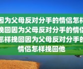 因为父母反对分手的情侣怎样挽回因为父母反对分手的情侣怎样挽回因为父母反对分手的情侣怎样挽回他