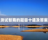 测试智商的题目十道及答案
