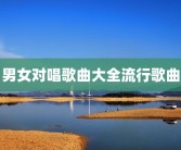 男女对唱歌曲大全流行歌曲
