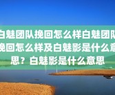白魅团队挽回怎么样白魅团队挽回怎么样及白魅影是什么意思？白魅影是什么意思