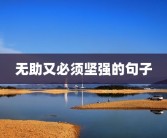 无助又必须坚强的句子