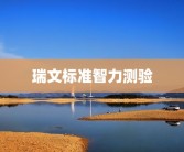 瑞文标准智力测验