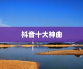 抖音十大神曲