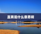 直男是什么意思啊