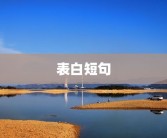 表白短句