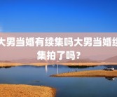 大男当婚有续集吗大男当婚续集拍了吗？