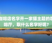 咖啡店名字开一家猫主题的咖啡厅，取什么名字好呢？