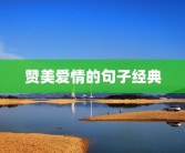 赞美爱情的句子经典