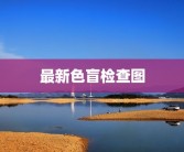 最新色盲检查图