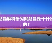 赵晶麻将研究院赵晶是干什么的？