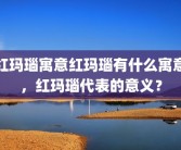 红玛瑙寓意红玛瑙有什么寓意，红玛瑙代表的意义？