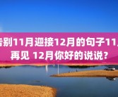 告别11月迎接12月的句子11月再见 12月你好的说说？