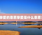 挚爱的意思挚爱是什么意思？