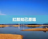 红颜知己原唱