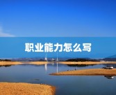 职业能力怎么写