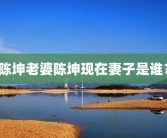 陈坤老婆陈坤现在妻子是谁？