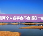 测两个人名字合不合适在一起