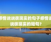 感情说说很现实的句子感情说说很现实的短句？