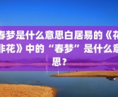 春梦是什么意思白居易的《花非花》中的“春梦”是什么意思？
