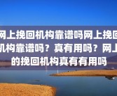 网上挽回机构靠谱吗网上挽回机构靠谱吗？真有用吗？网上的挽回机构真有有用吗
