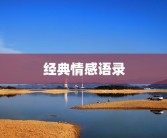 经典情感语录