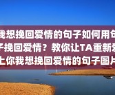 我想挽回爱情的句子如何用句子挽回爱情？教你让TA重新爱上你我想挽回爱情的句子图片