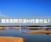 魏志刚阿尔法hl代表什么？