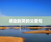 感动到哭的父爱句