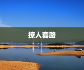 撩人套路