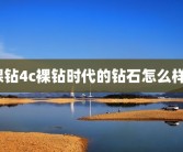 裸钻4c裸钻时代的钻石怎么样？