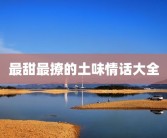 最甜最撩的土味情话大全