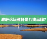 雅轩论坛雅轩是几线品牌？