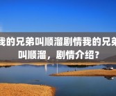 我的兄弟叫顺溜剧情我的兄弟叫顺溜，剧情介绍？
