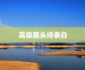 高级藏头诗表白