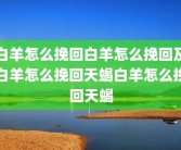 白羊怎么挽回白羊怎么挽回及白羊怎么挽回天蝎白羊怎么挽回天蝎