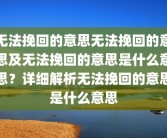 无法挽回的意思无法挽回的意思及无法挽回的意思是什么意思？详细解析无法挽回的意思是什么意思