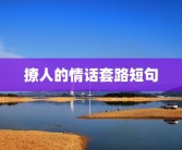 撩人的情话套路短句