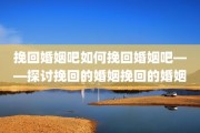 挽回婚姻吧如何挽回婚姻吧——探讨挽回的婚姻挽回的婚姻
