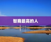 智商最高的人