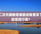 二次元禁断症谁能给我普及下动漫流行语？