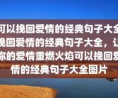 可以挽回爱情的经典句子大全挽回爱情的经典句子大全，让你的爱情重燃火焰可以挽回爱情的经典句子大全图片
