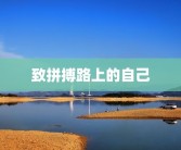 致拼搏路上的自己