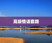 高级情话套路