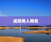 成熟男人网名