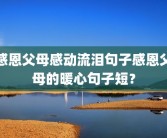 感恩父母感动流泪句子感恩父母的暖心句子短？