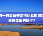 扫一扫翡翠鉴定拍照就能识别玉石翡翠的软件？