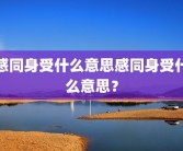 感同身受什么意思感同身受什么意思？