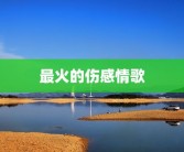 最火的伤感情歌