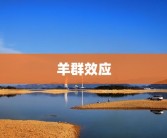 羊群效应