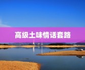 高级土味情话套路